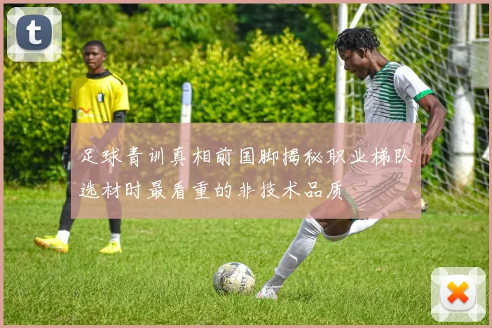 足球青训真相前国脚揭秘职业梯队选材时最看重的非技术品质